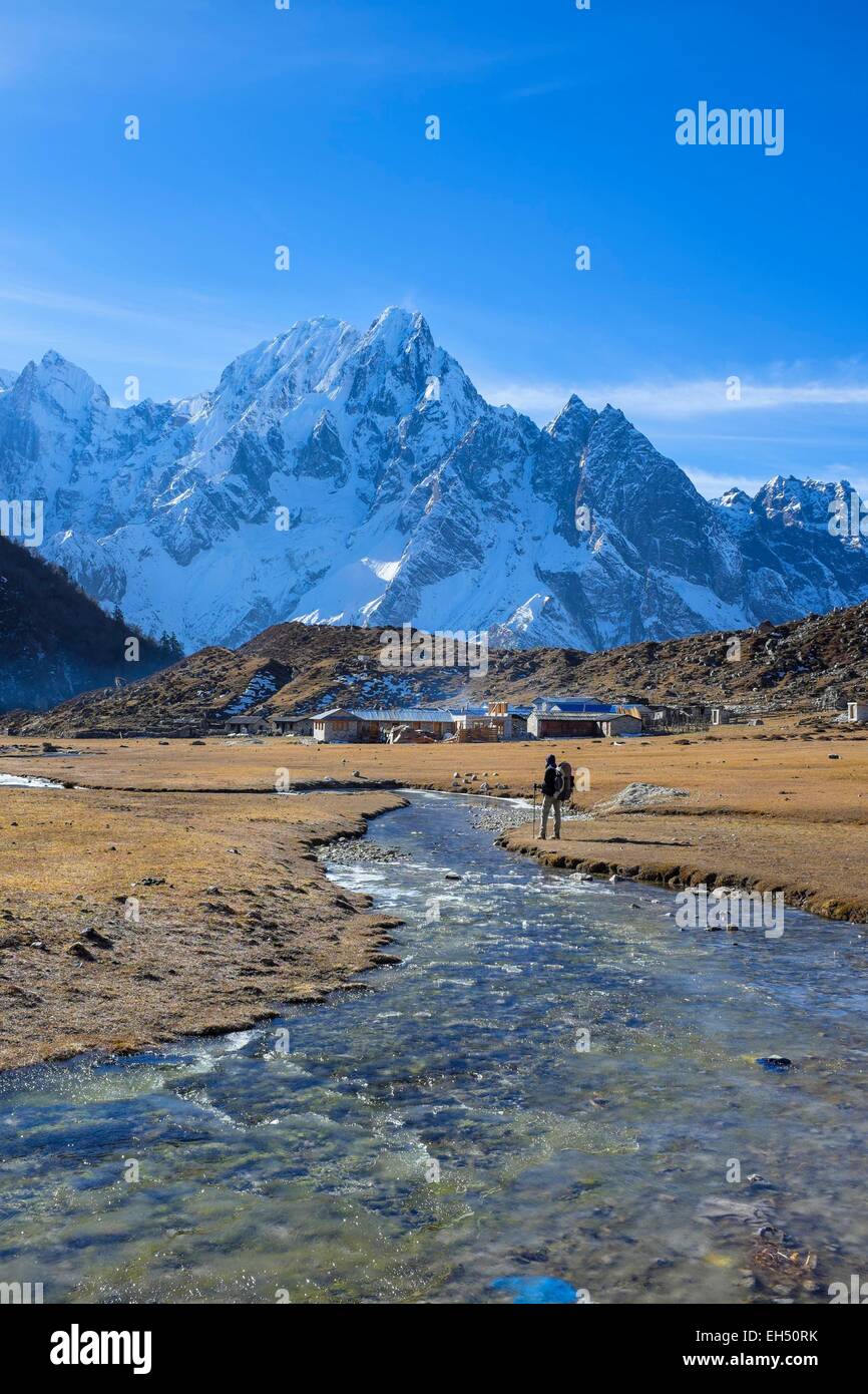 Le Népal, Gandaki zone, Manaslu Circuit, entre Dharamsala et Bimthang, Bimthang (alt.3800m) Banque D'Images