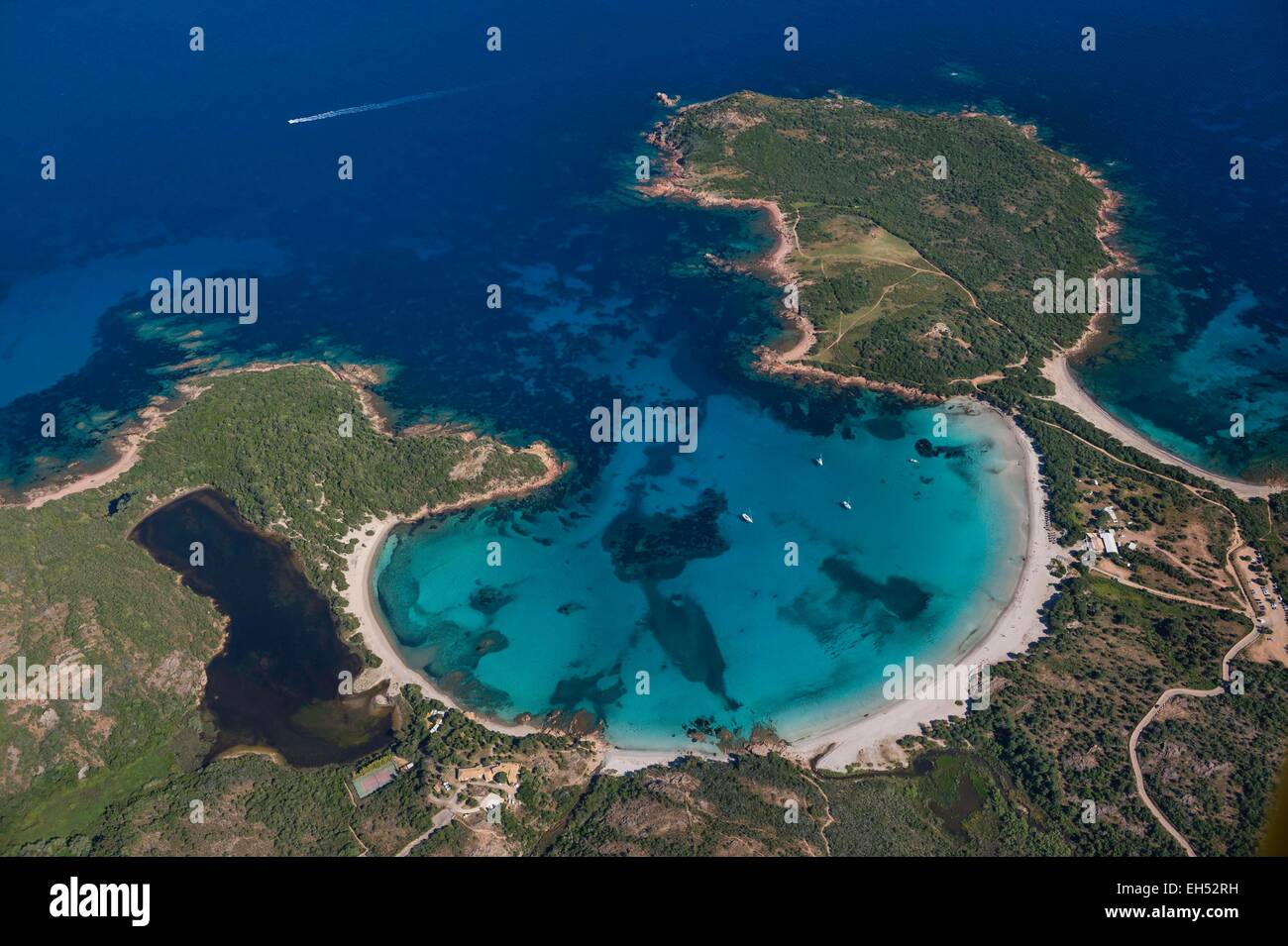 France Corse Du Sud Bouche De Bonifacio Réserve Naturelle