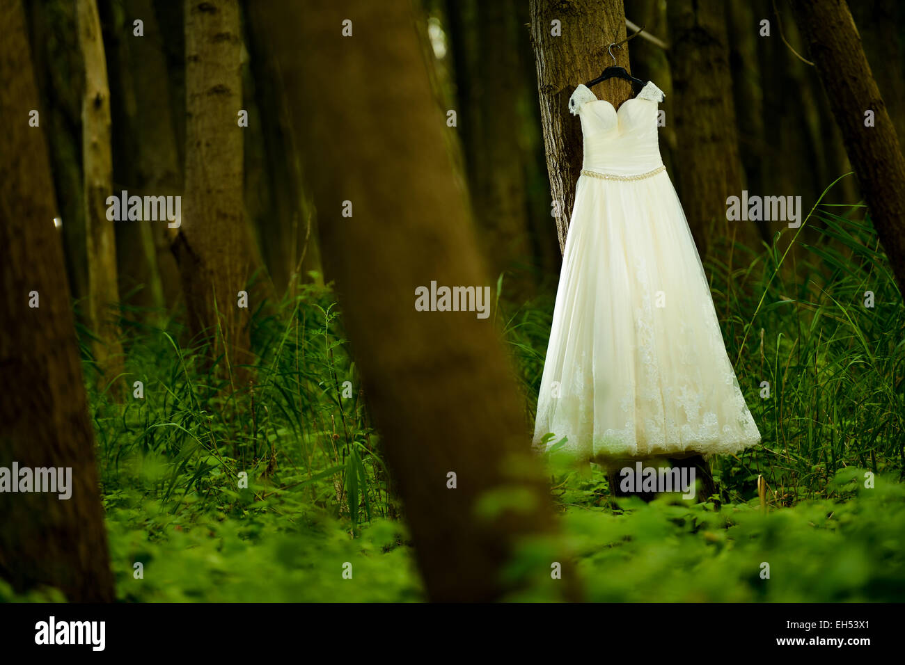 Robe blanche verte Banque de photographies et d’images à haute