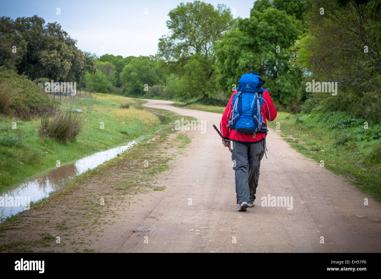 Un pèlerin, lors d'un pèlerinage à pied du Camino à Saint-Jacques-de-Compostelle, le long d'une longue route poussiéreuse à travers le paysage rural de l'Espagne Banque D'Images