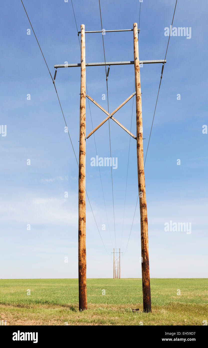 Lignes de transport d'électricité et de granulés de bois d'éoliennes en Kiowa Comté de l'Oklahoma. Double usage terre comme c'est aussi un champ de foin Banque D'Images