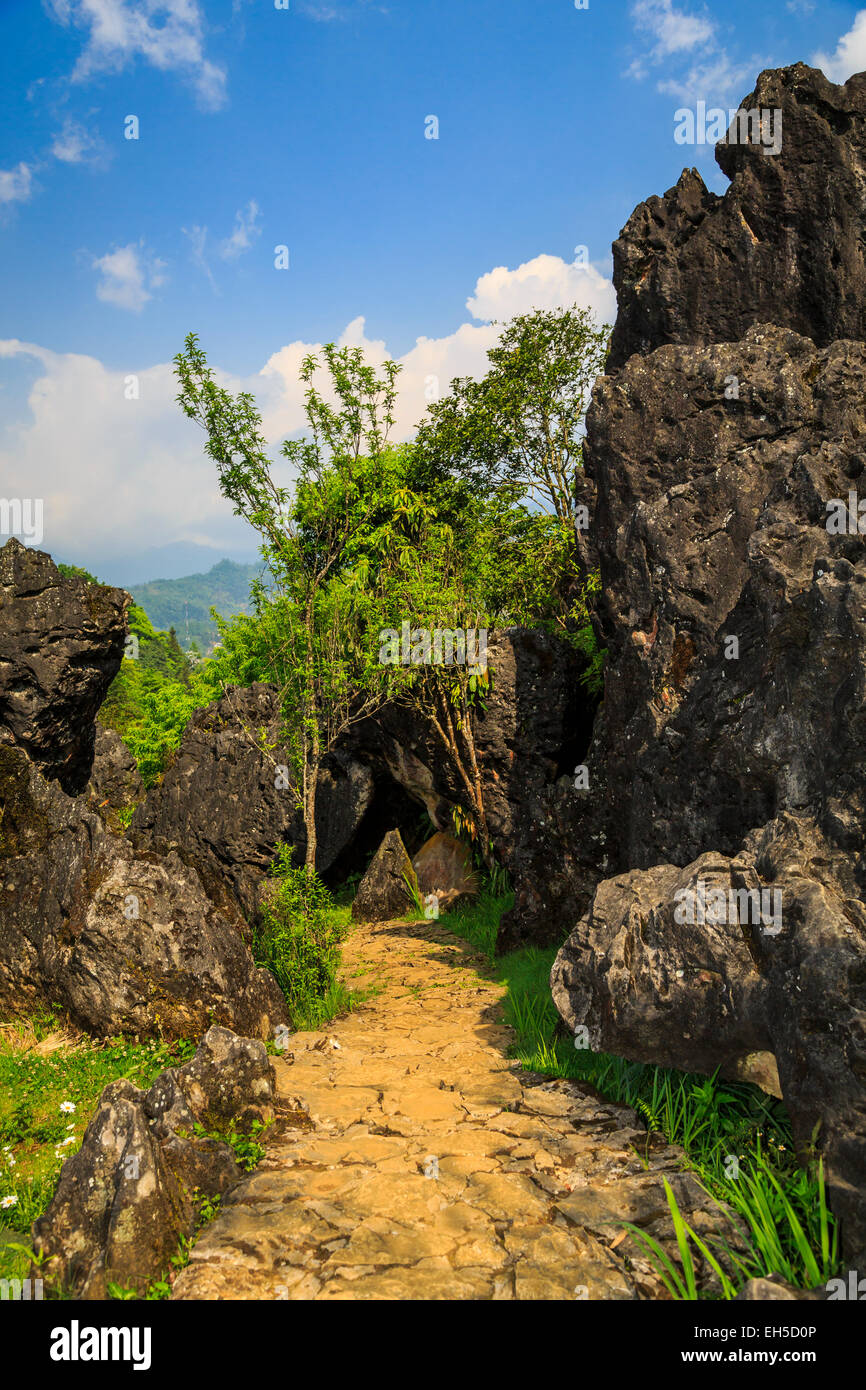 Le black rock gardens sur la montagne Ham Rong près de Sapa, Vietnam, Asie. Banque D'Images