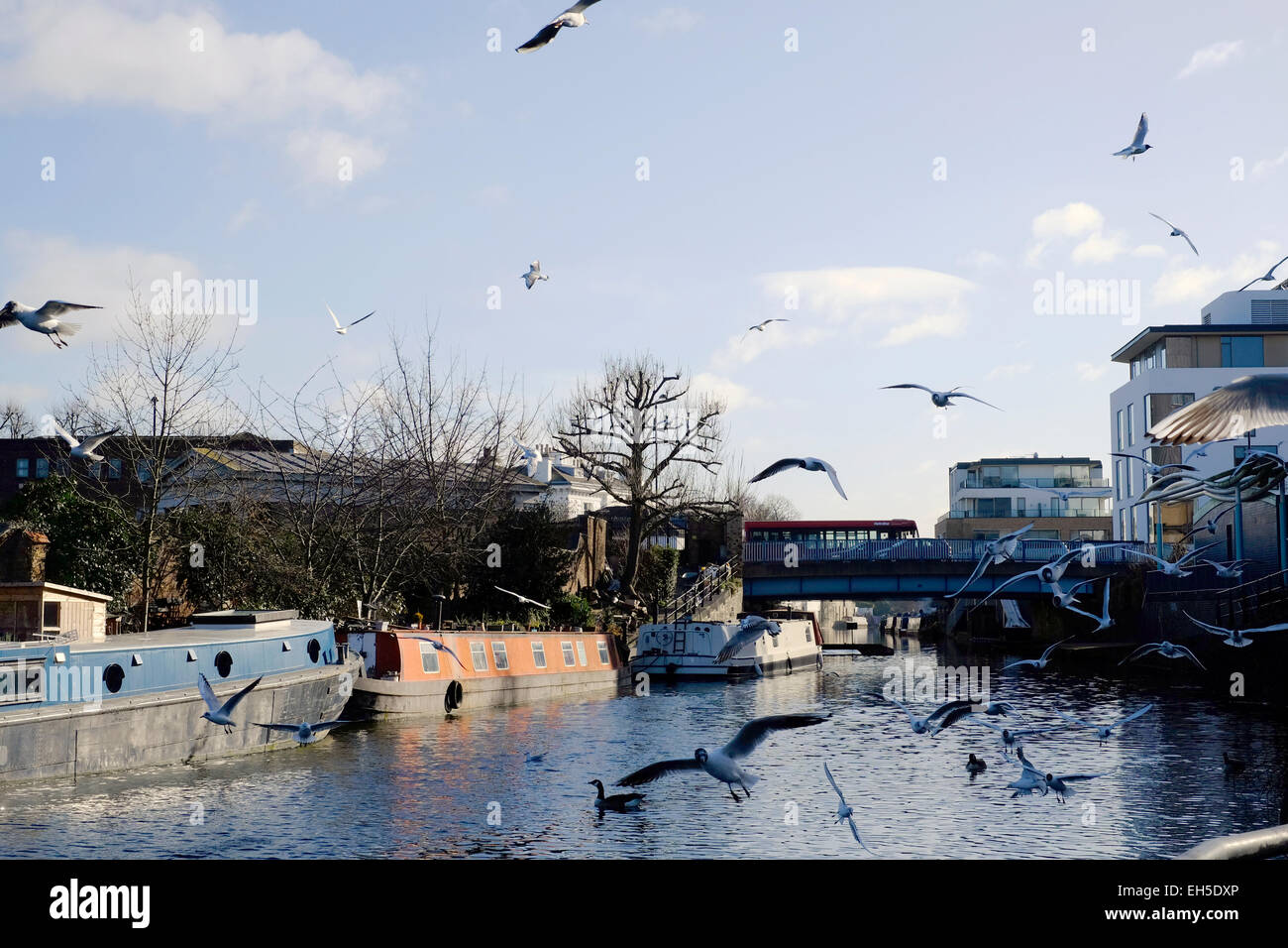 Birds flying over canal Paddington, Londres Banque D'Images