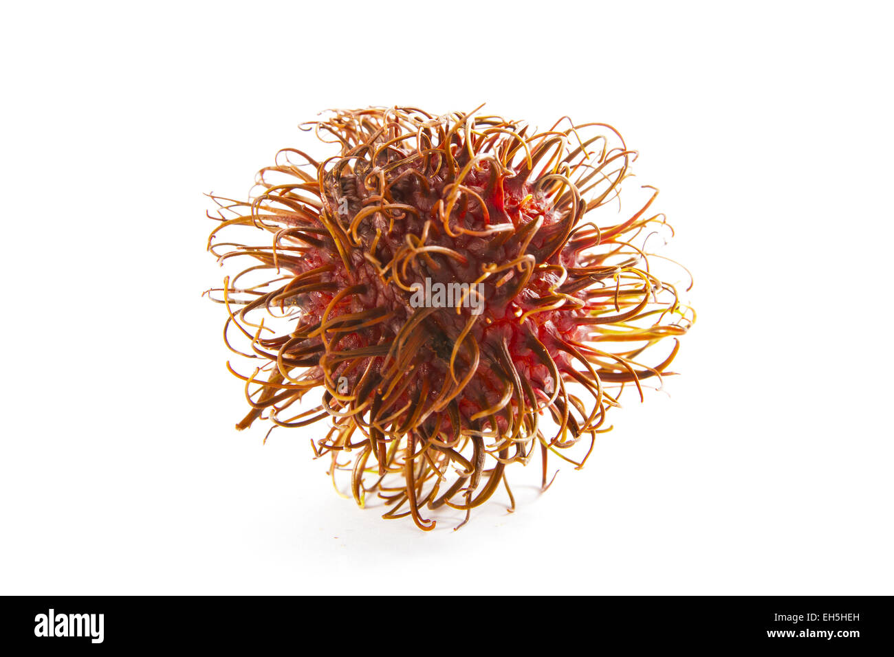 Vue latérale d'un rambutan fruit tropical sur fond blanc. Banque D'Images