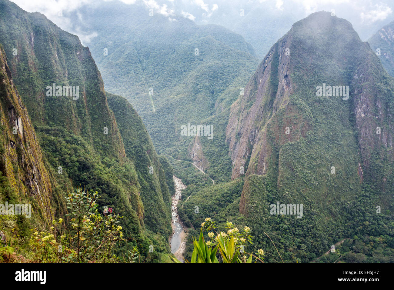 Vue sur la verdoyante couverte des Andes autour de Machu Picchu, Pérou Banque D'Images