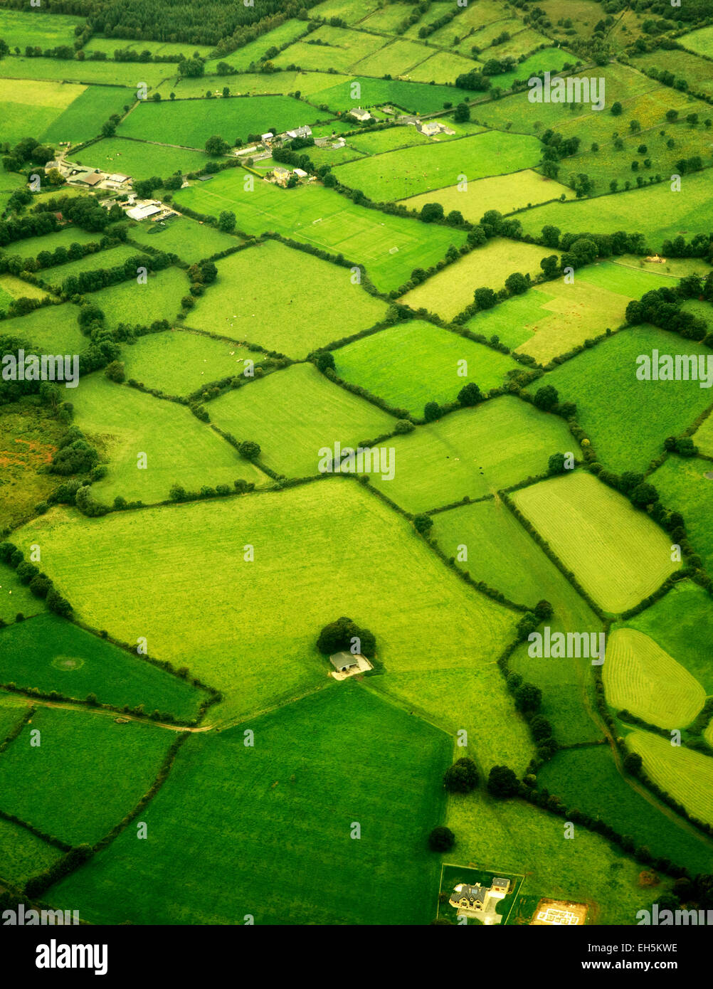 Les verts pâturages comme vu de l'air. L'Irlande Banque D'Images