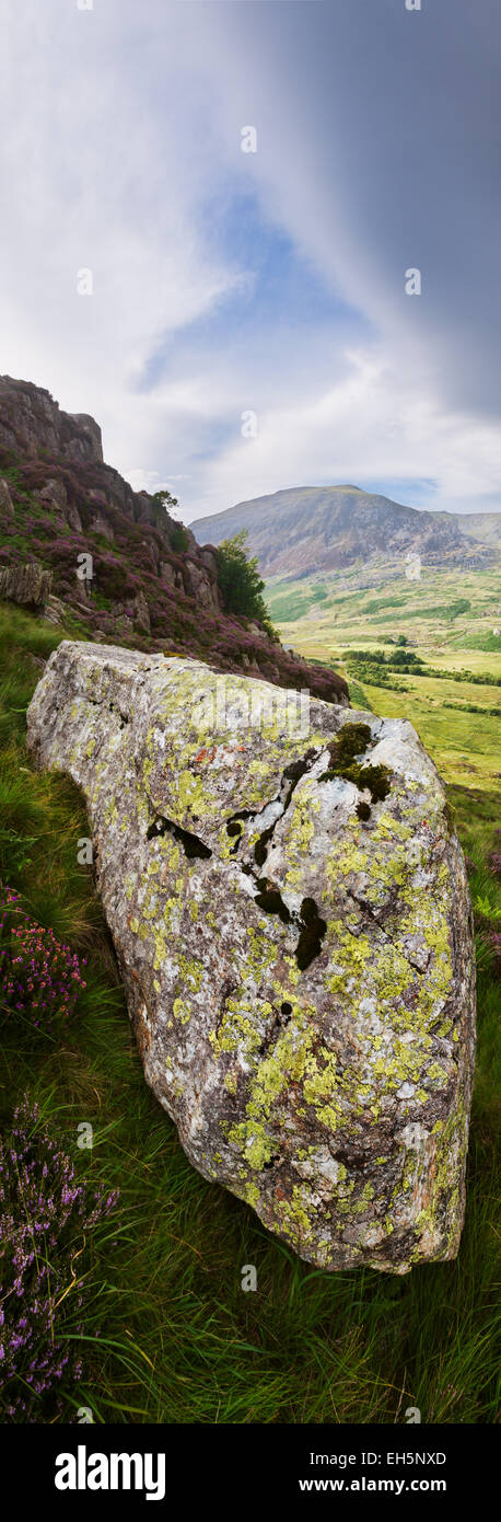 La vue depuis la base de la montagne en Tryfan Parc National de Snowdonia, Pays de Galles. Banque D'Images