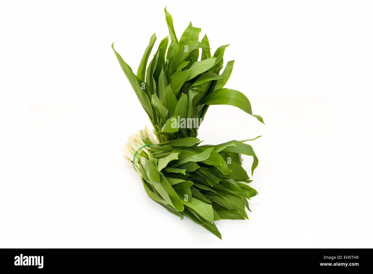 Ramson (ail sauvage) on white Banque D'Images