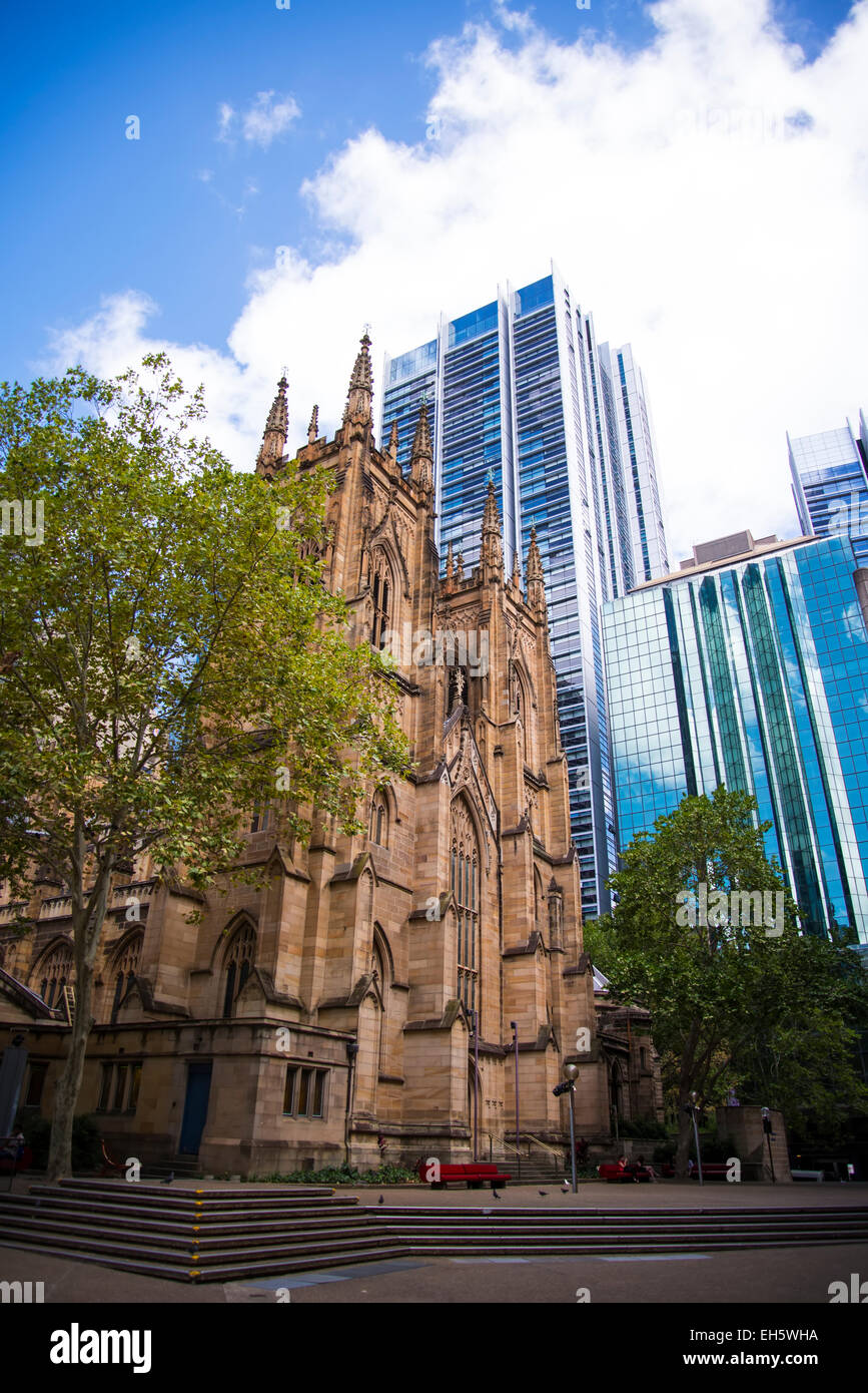 SYDNEY, AUSTRALIE - 12 février 2015 : la cathédrale St.Andrew à Sydney, Australie. Il a été conçu par Edmund Blacket andis la vieille Banque D'Images