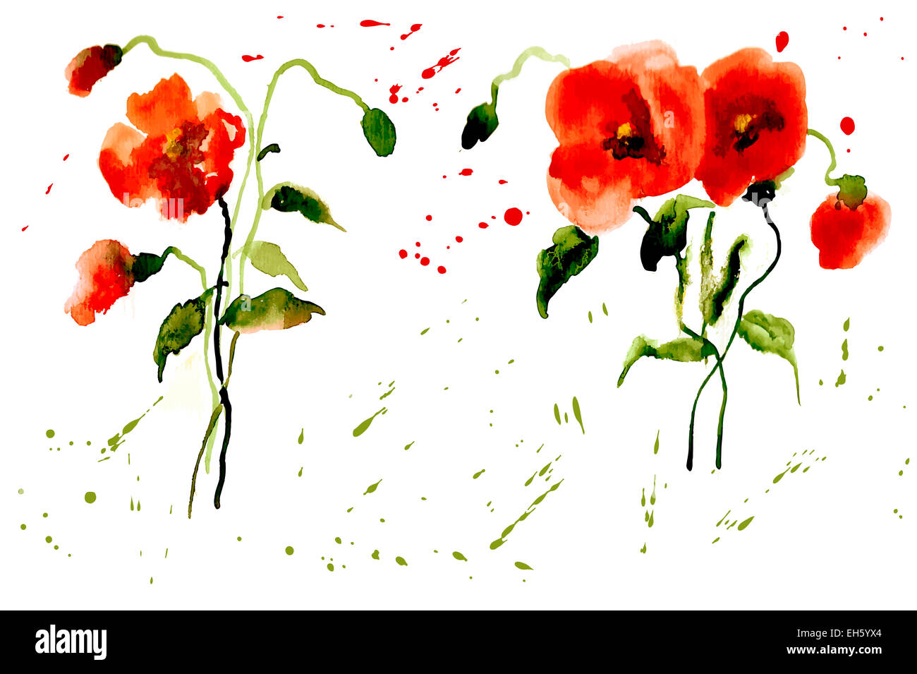 Coquelicots fleurs avec des touches de rouge aquarelle Banque D'Images