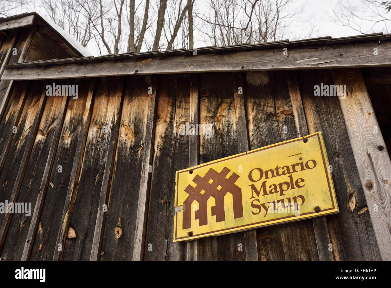 Avec cabane à sucre l'Ontario Maple Syrup Producers Association logo Banque D'Images