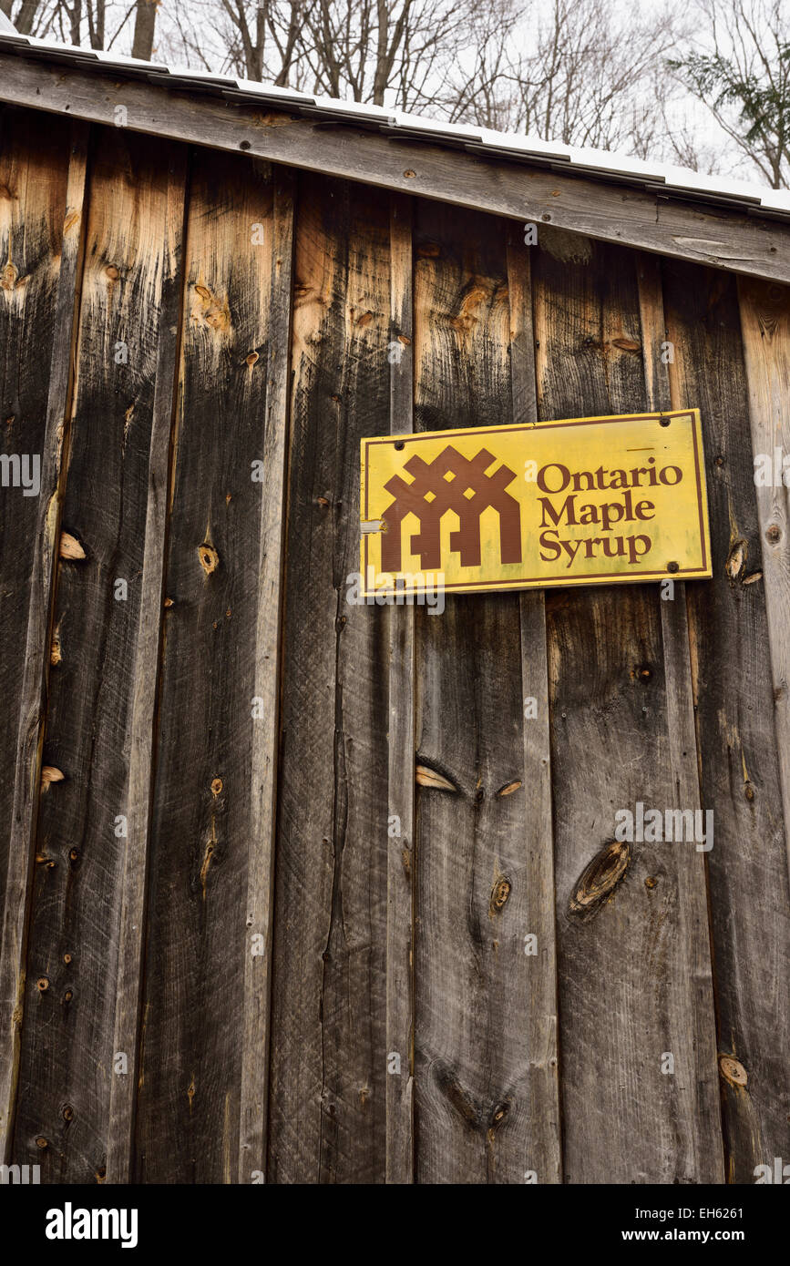 Cabane à sucre en bois avec l'Ontario Maple Syrup Producers Association signer dans une forêt enneigée Ontario Canada Banque D'Images