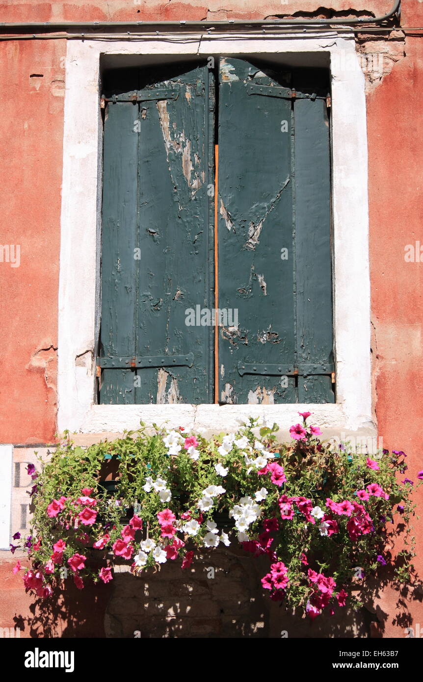 Vieille fenêtre avec les pots de fleurs au printemps Banque D'Images