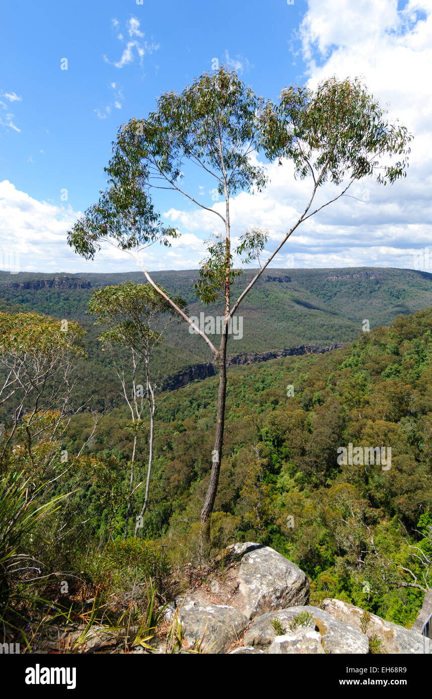Echo Point, Morton National Park, New South Wales, Australie Banque D'Images