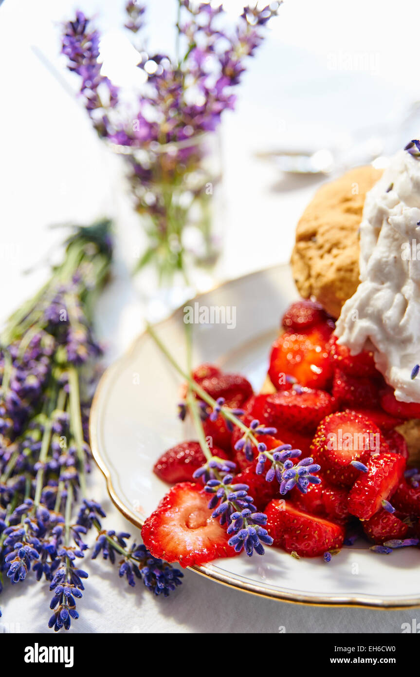 Strawberry Shortcake lavande lavande crème de coco fouettée avec Banque D'Images