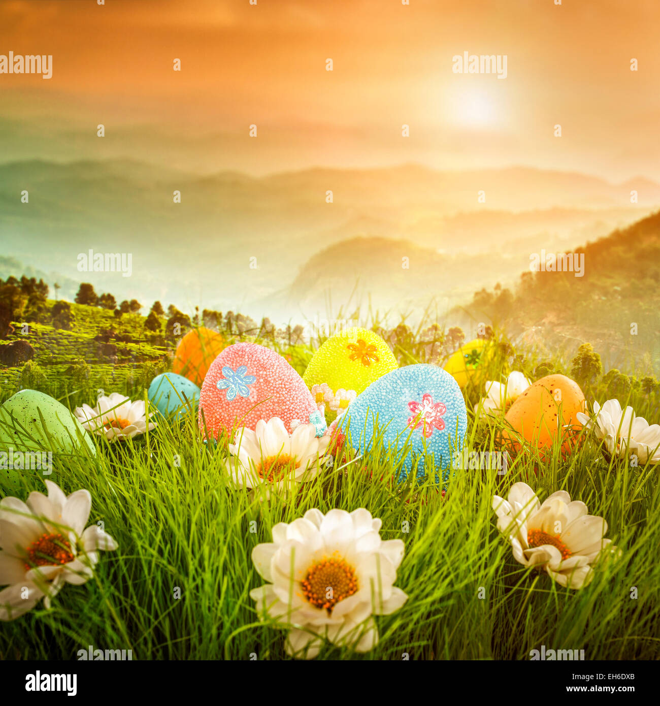 Oeufs de Pâques décorés dans l'herbe sur le fond de ciel Banque D'Images