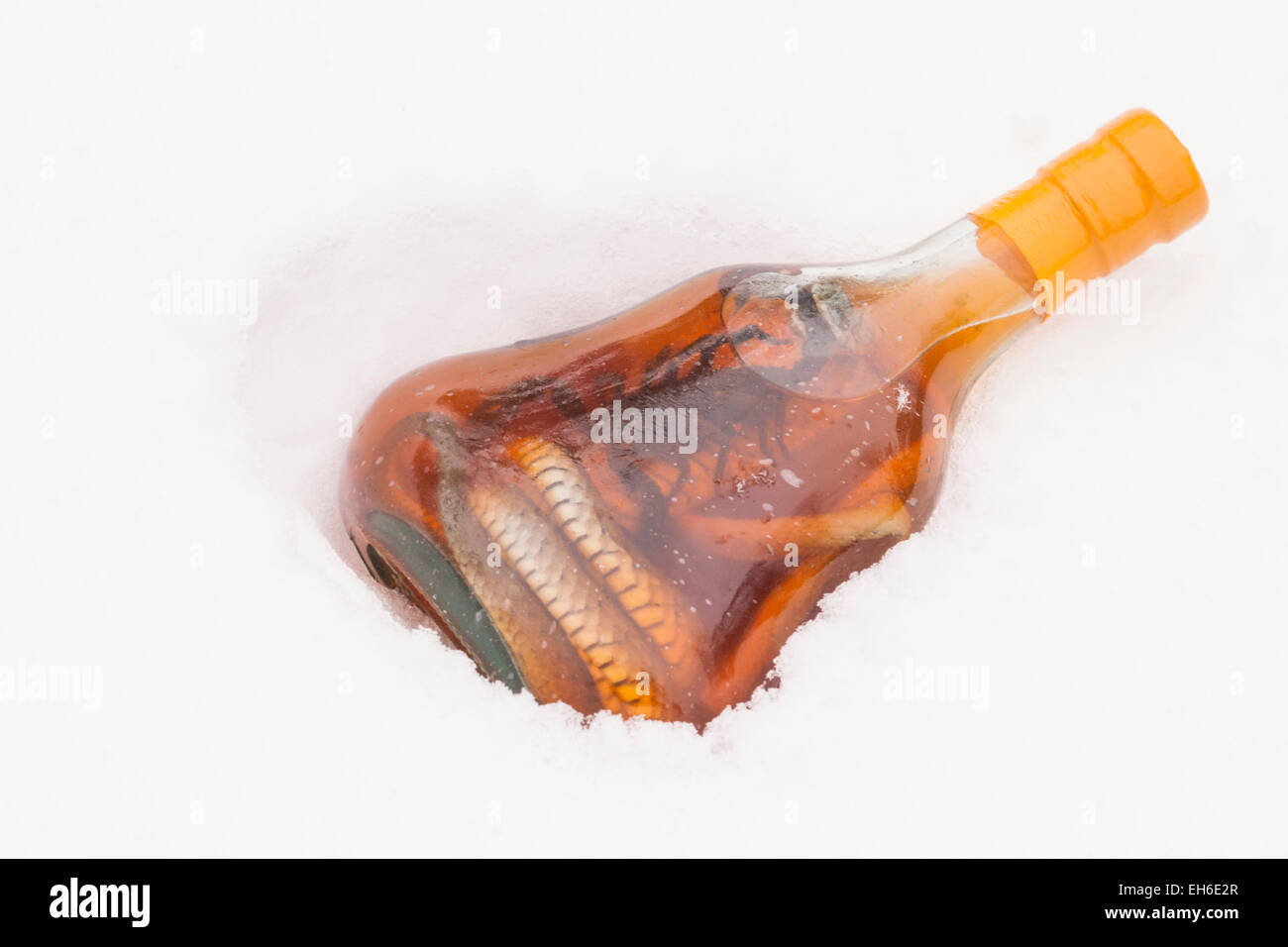 Une Bouteille De Vin De Serpent Dans La Neige Photo Stock Alamy une-bouteille-de-vin-de-serpent-dans-la-neige-photo-stock-alamy