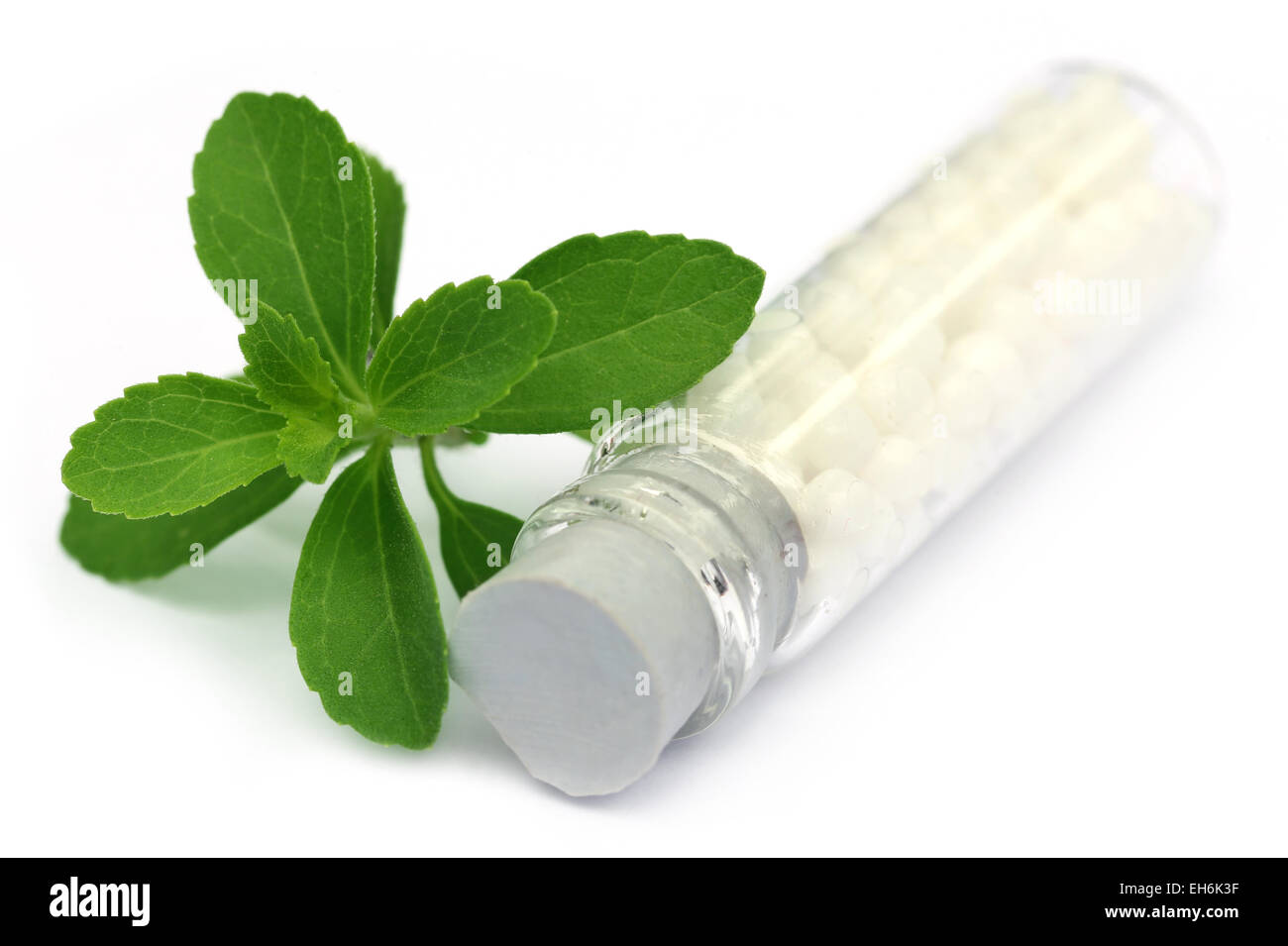 Globules homéopathiques avec stevia sur fond blanc Banque D'Images