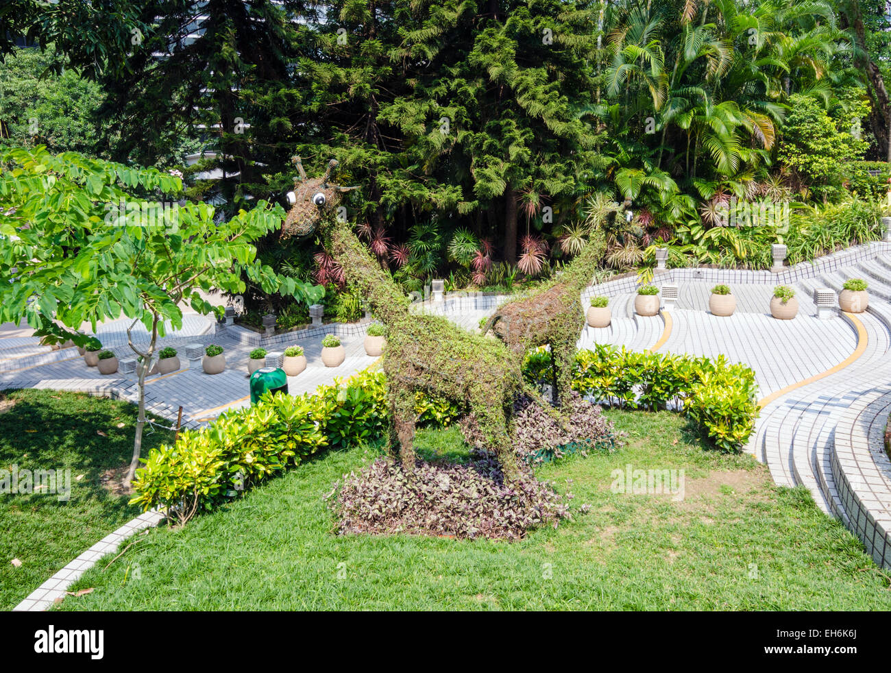 Topiaire des animaux, parc de Hong Kong, Hong Kong Banque D'Images