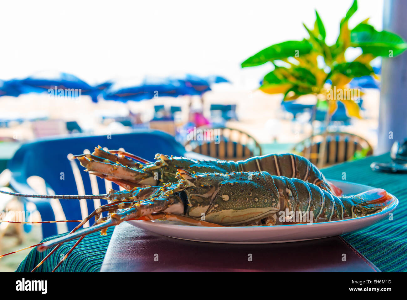 Gros homards sur une plaque dans un café sur la plage Banque D'Images