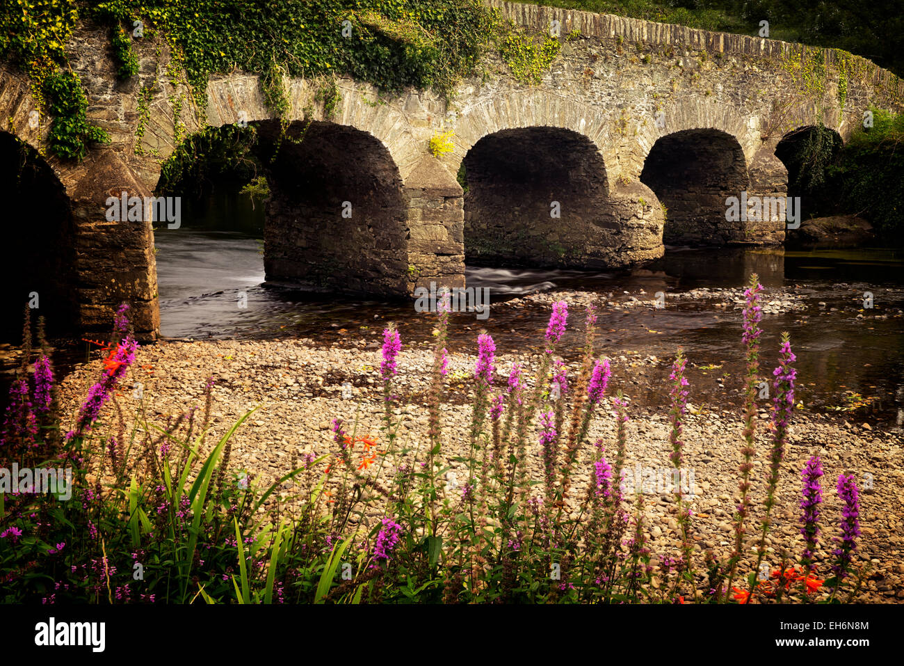 Pont sur la rivière Gearhmeen avec fleurs sauvages, le Parc National de Killarney, Irlande Banque D'Images