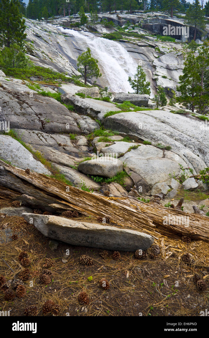 La fonte de la neige le long de la High Sierra Trail entre Crescent Meadow et Meadow Bearpaw, Sequoia National Park. Banque D'Images