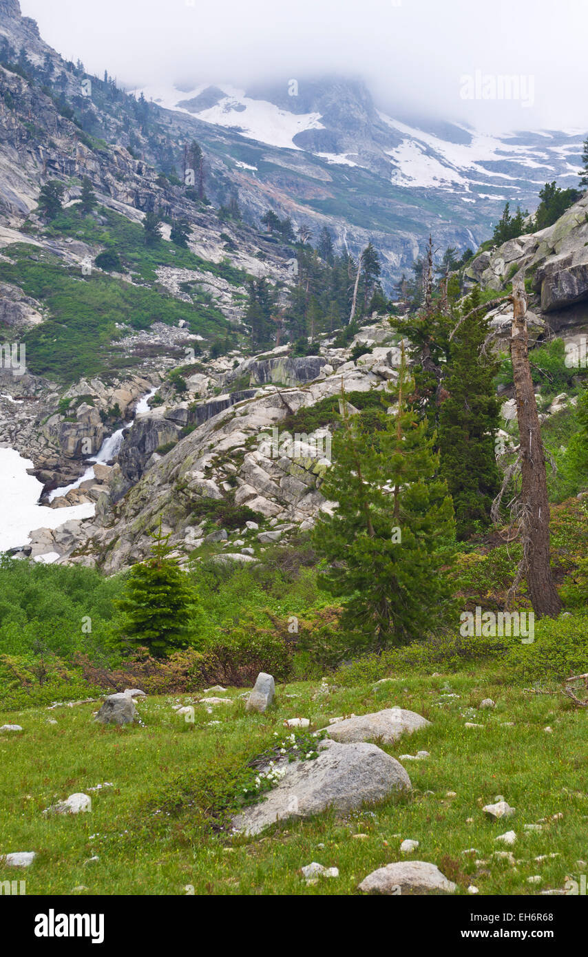 Brouillard sur sommet de montagne, près de Lake Hamilton, Parcs Nationaux de Sequoia et de Kings Canyon, en Californie. Banque D'Images