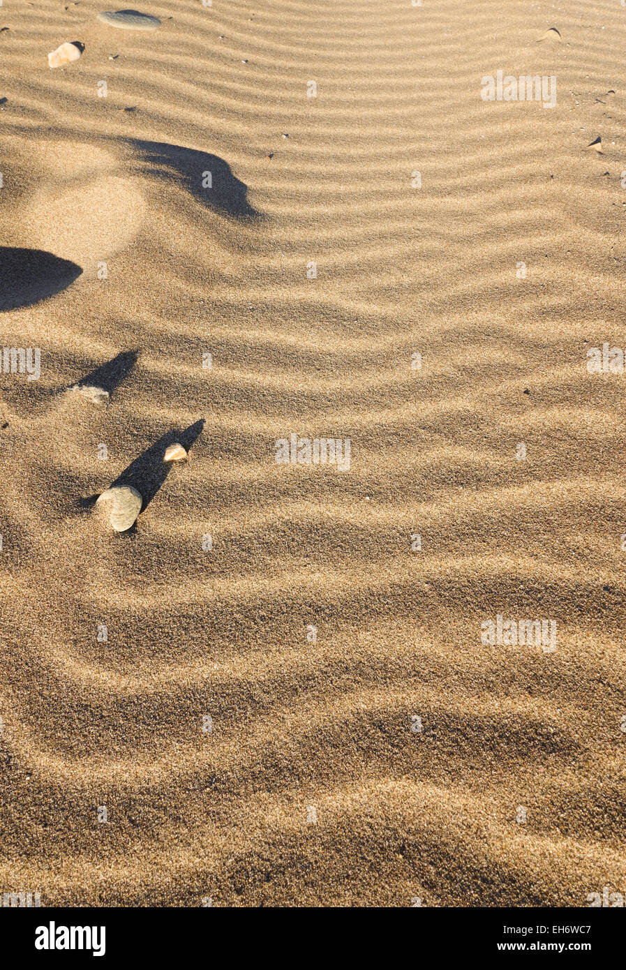 Compte tenu de faible lumière ombre de pierres, sable, vagues formes ondulatoires formé par le vent sur la plage, à l'Espagne. Banque D'Images