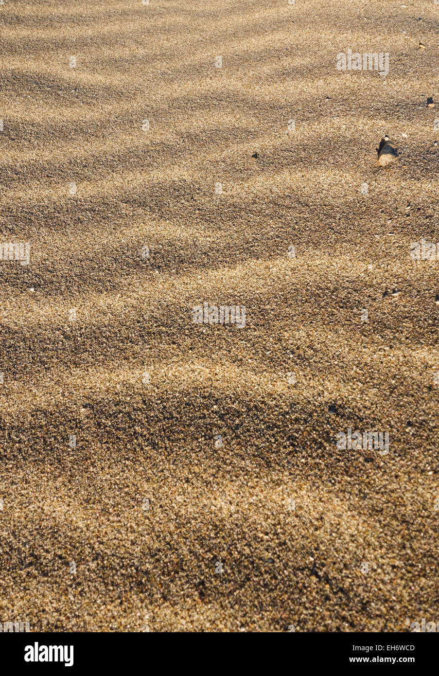 Les vagues de sable, des formes ondulatoires formé par le vent sur la plage, à l'Espagne. Banque D'Images