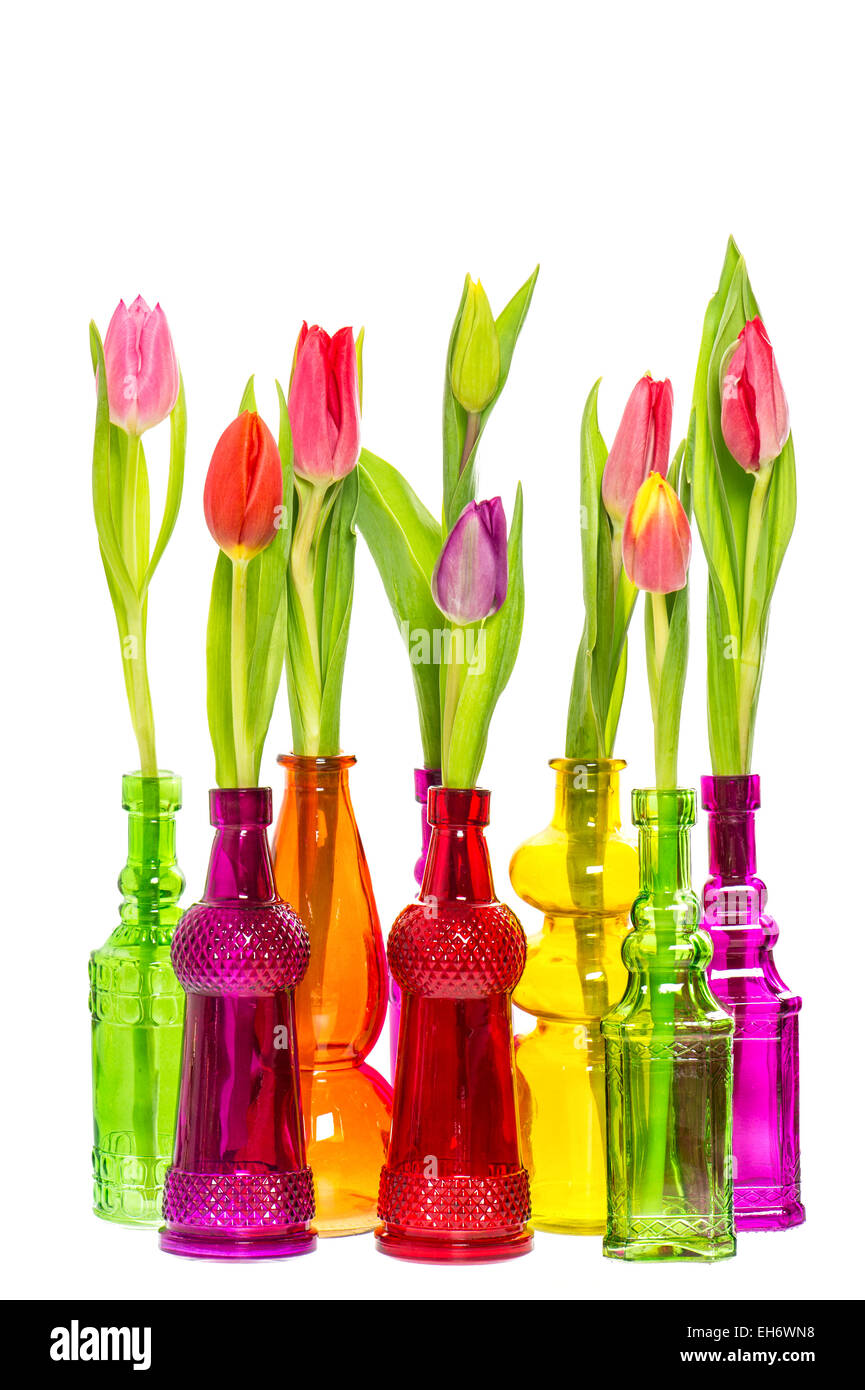 Fleurs tulipes colorées en vases de verre sur fond blanc. Bouquet de printemps Banque D'Images