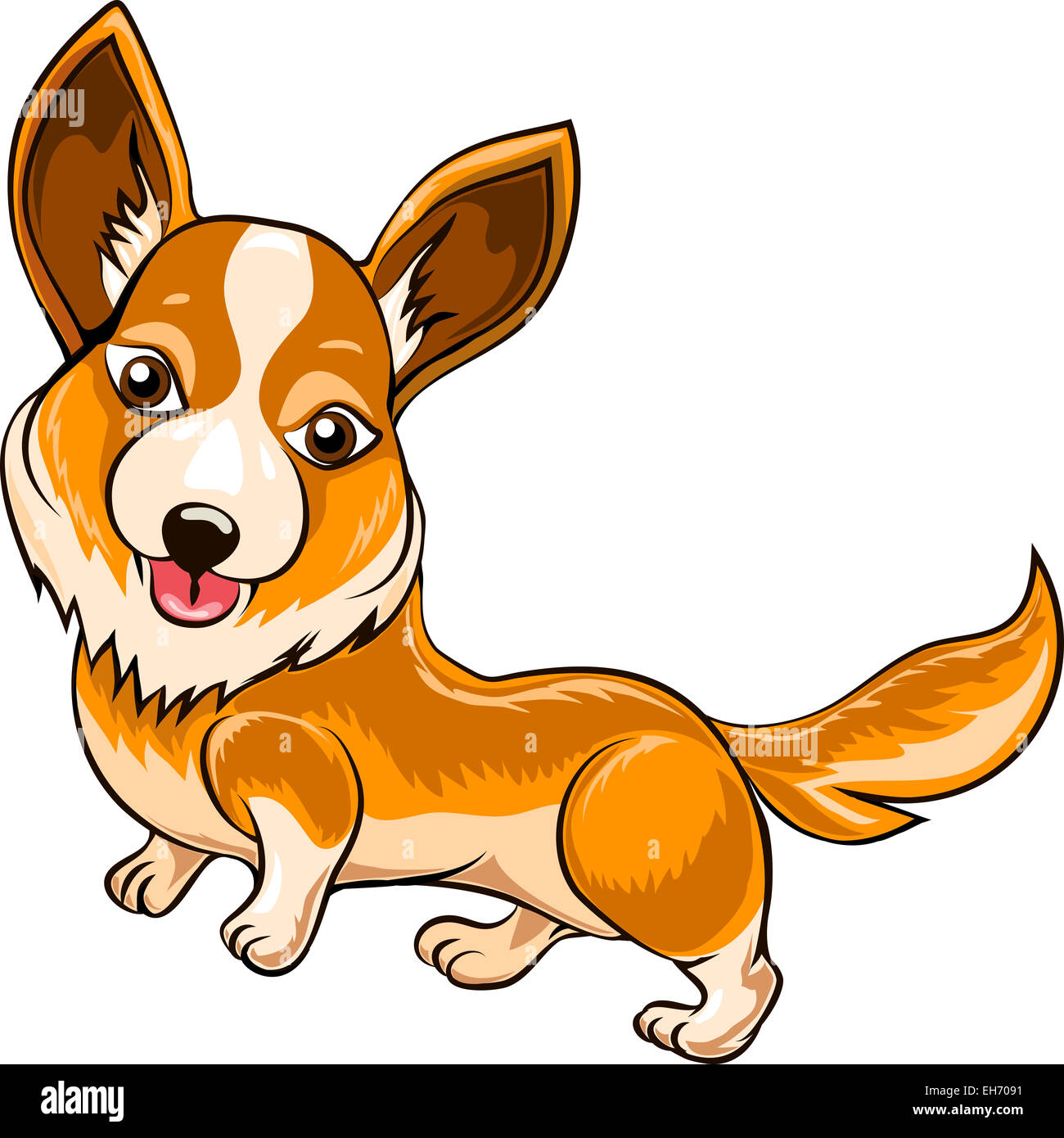 Illustration drôle avec Welsh Corgi chien dessiné dans un style cartoon Banque D'Images