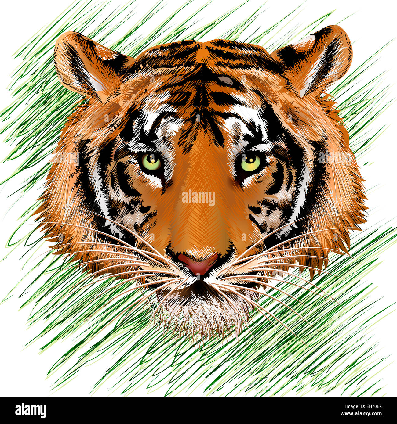 Illustration avec tiger head against abstract background herbe dessiné dans un style croquis au crayon Banque D'Images