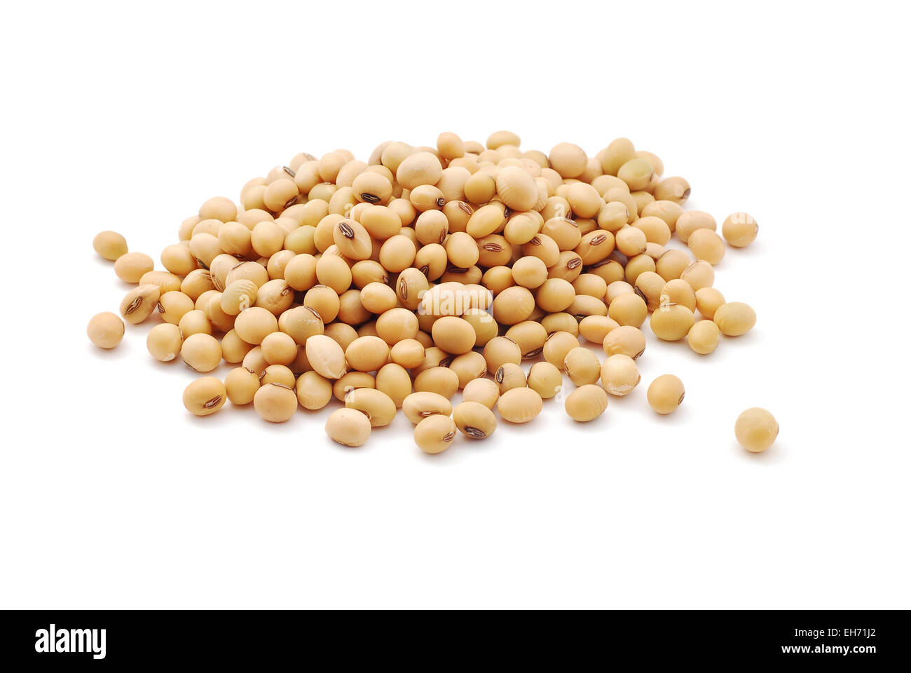 Soja sur fond blanc Banque D'Images