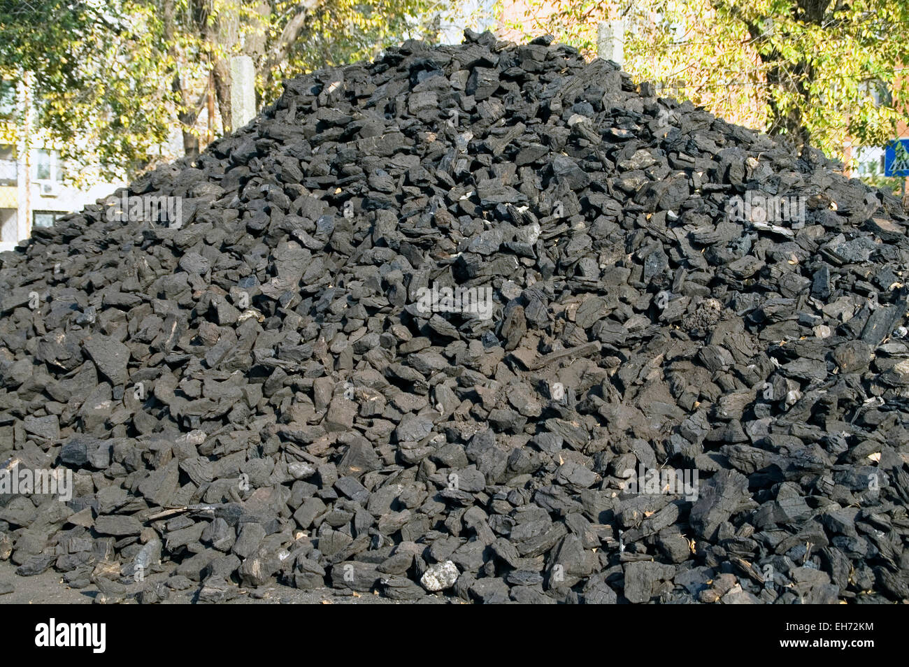 Le charbon lavé et séché dans une pile dans l'entrepôt en attente de vente. Banque D'Images