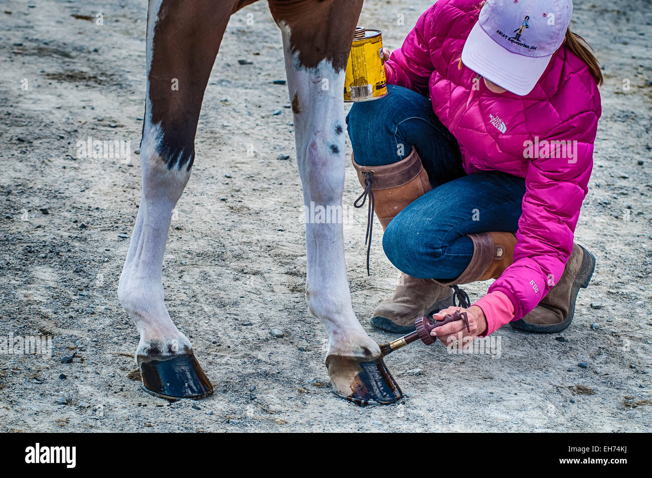 Horse Show la concurrence. Banque D'Images