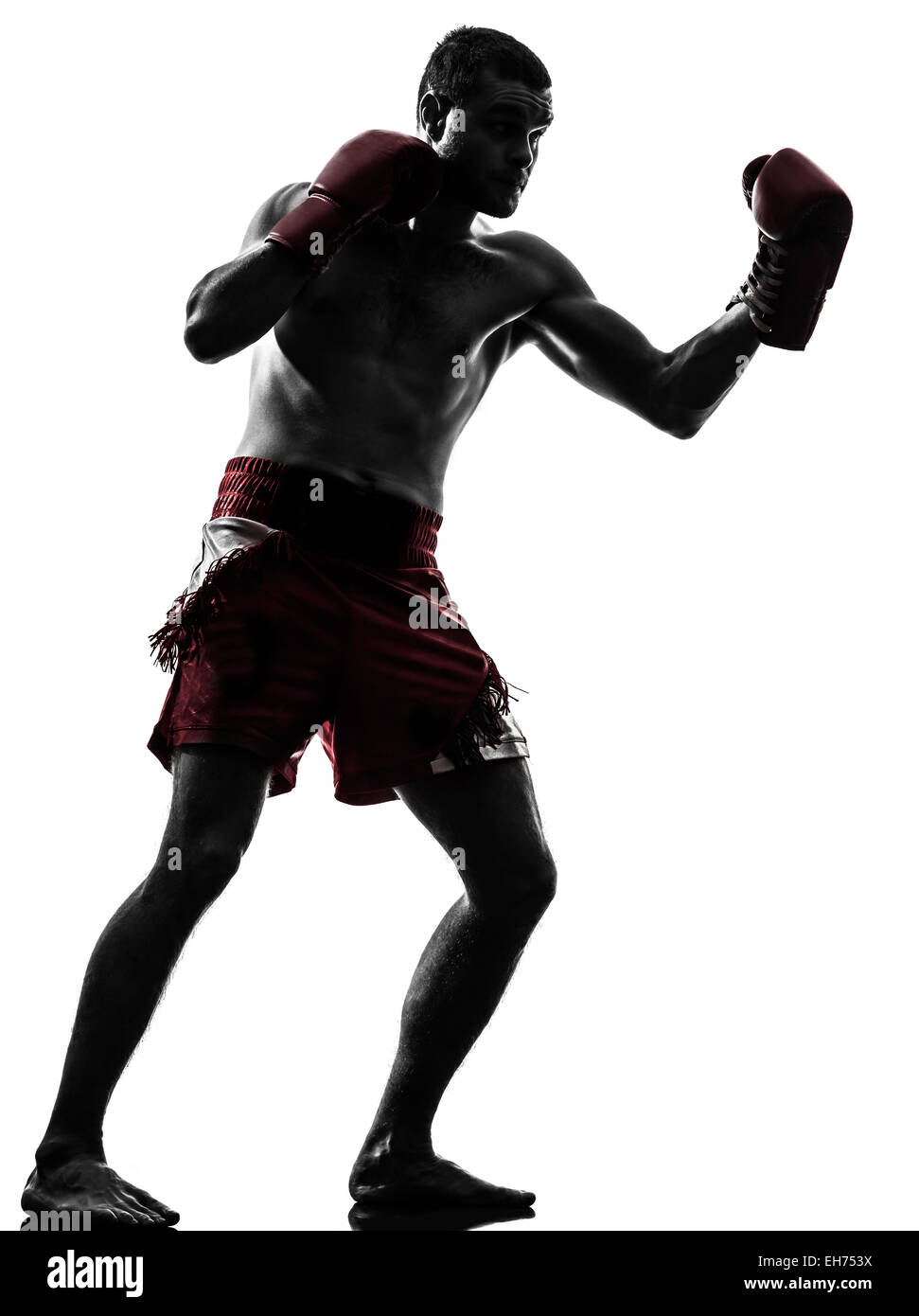 Un homme l'exercice de la boxe en silhouette studio sur fond blanc Banque D'Images