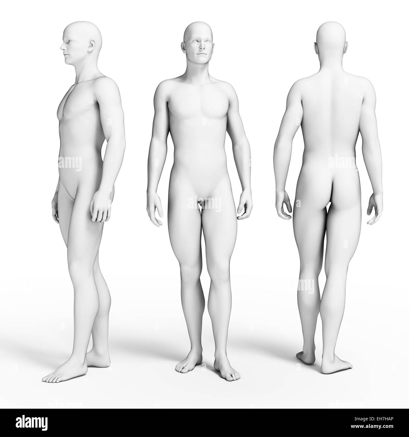 Fonctionnement normal du corps, illustration Banque D'Images