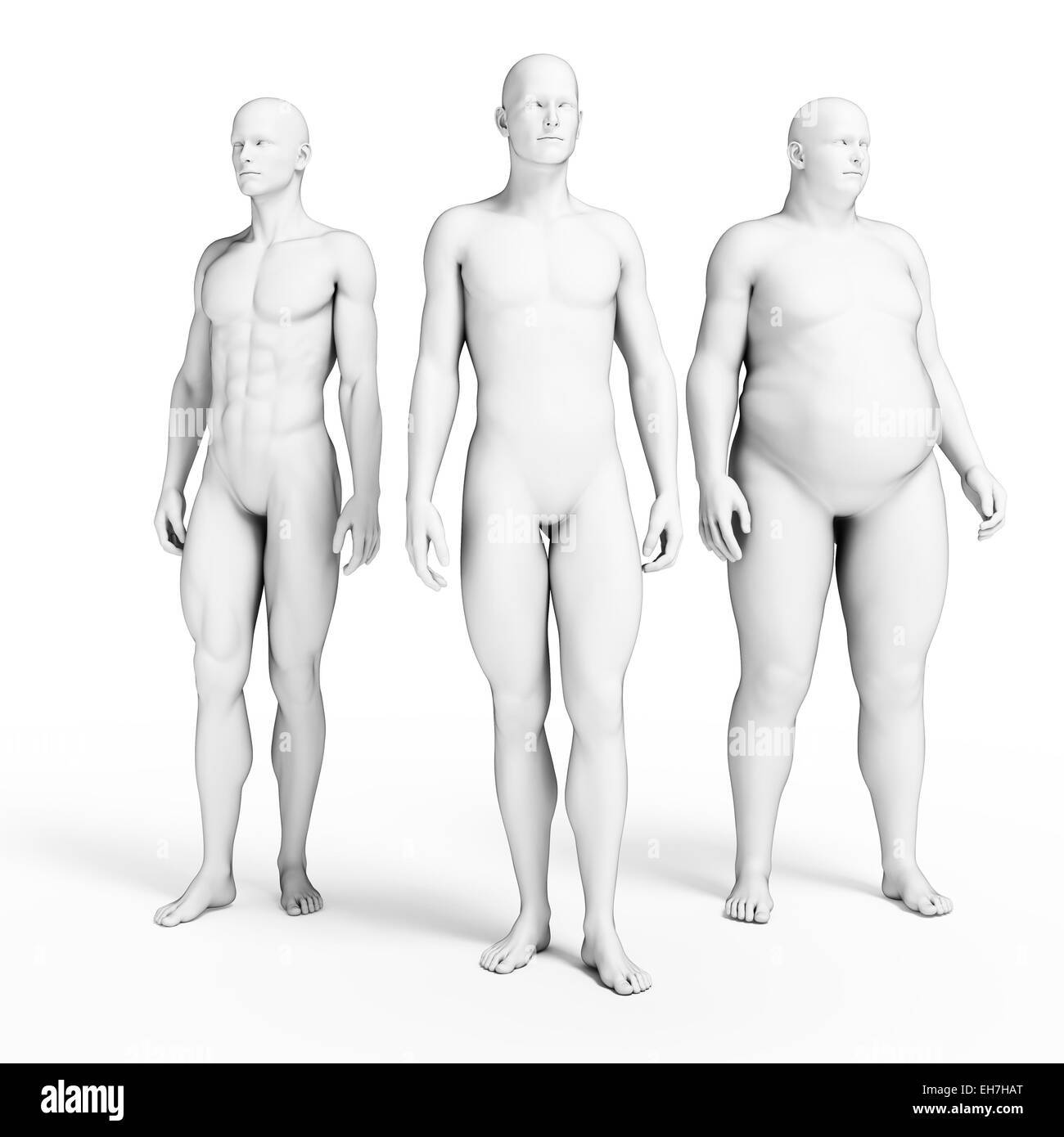 Divers Les formes du corps, illustration Banque D'Images