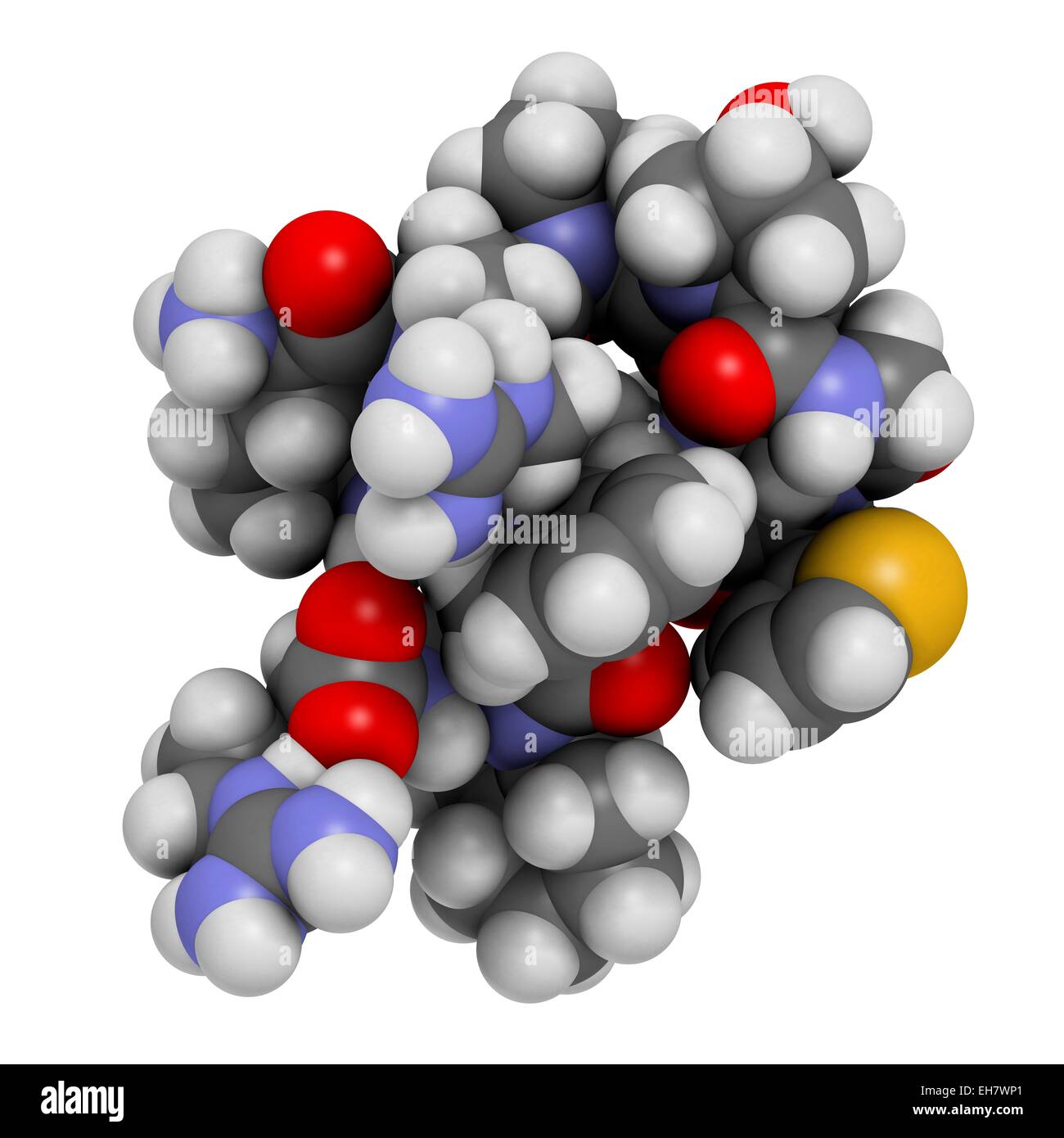 L'icatibant Hereditary Angioedema drug Banque D'Images