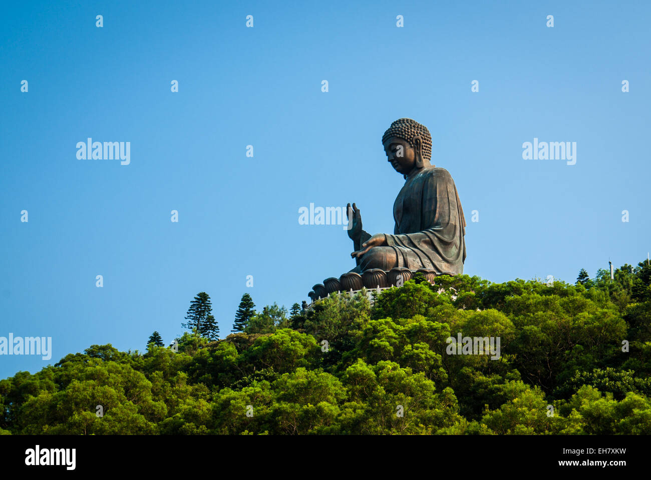 Tian Tan Buddha, le plus grand bronze, assis, Bouddha en plein air. L'île de Lantau, Hong Kong Banque D'Images