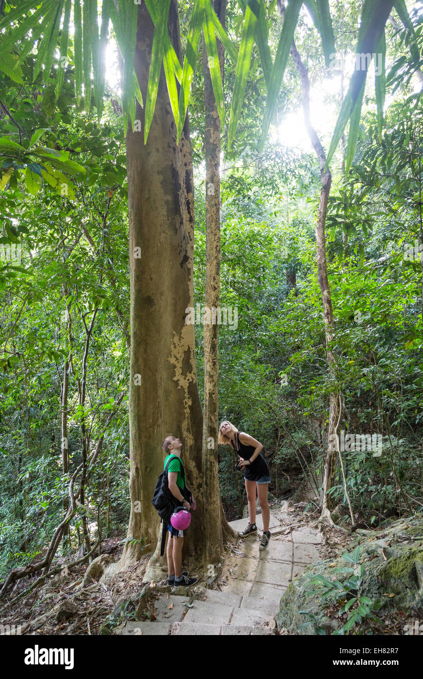 Parc National de Mu Koh Lanta, Ko Lanta (KOH), Thaïlande, Asie du Sud, Asie Banque D'Images