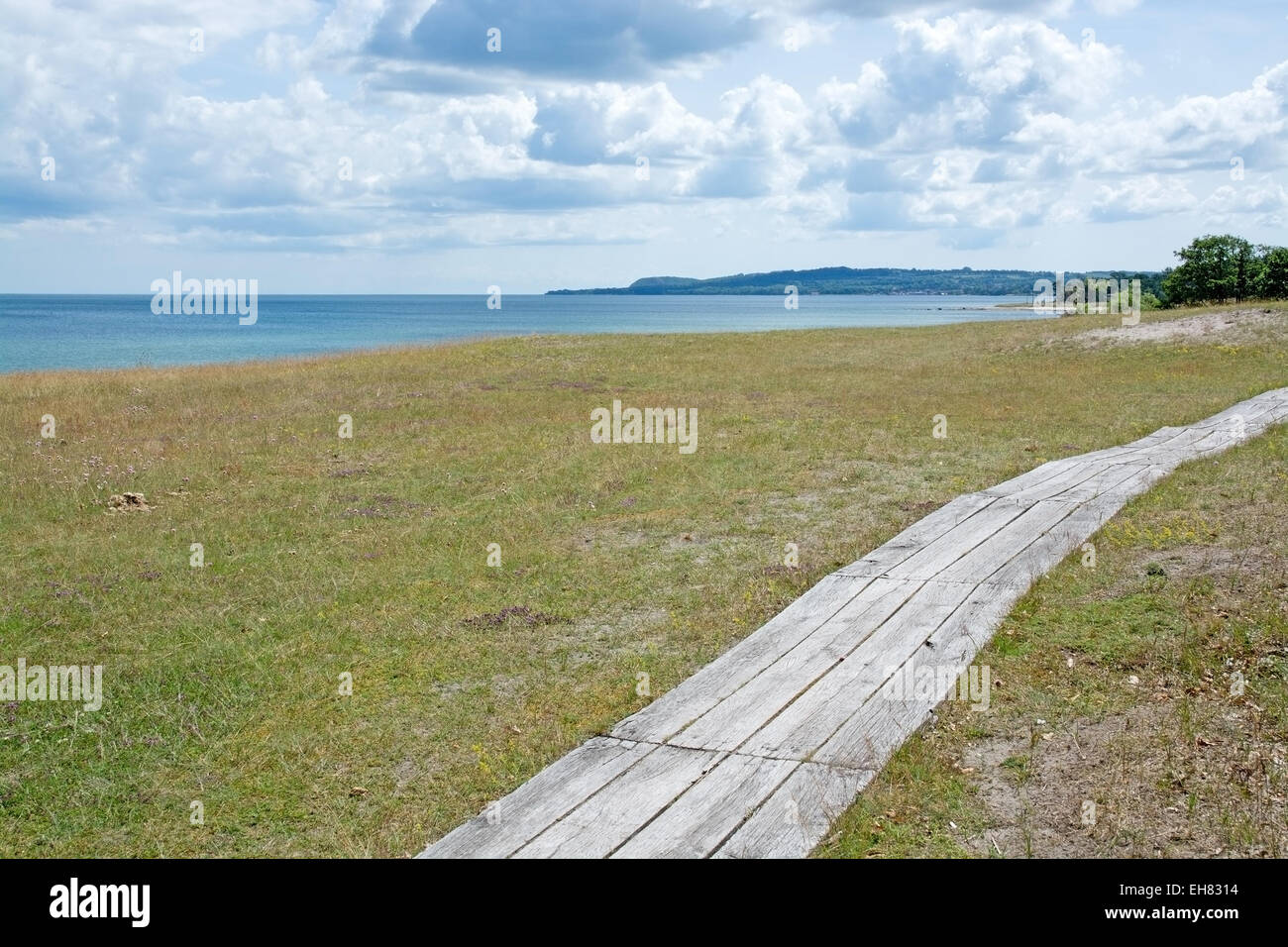 Promenade en bois étroite le long de la côte du sud de la Suède à l'été. Banque D'Images