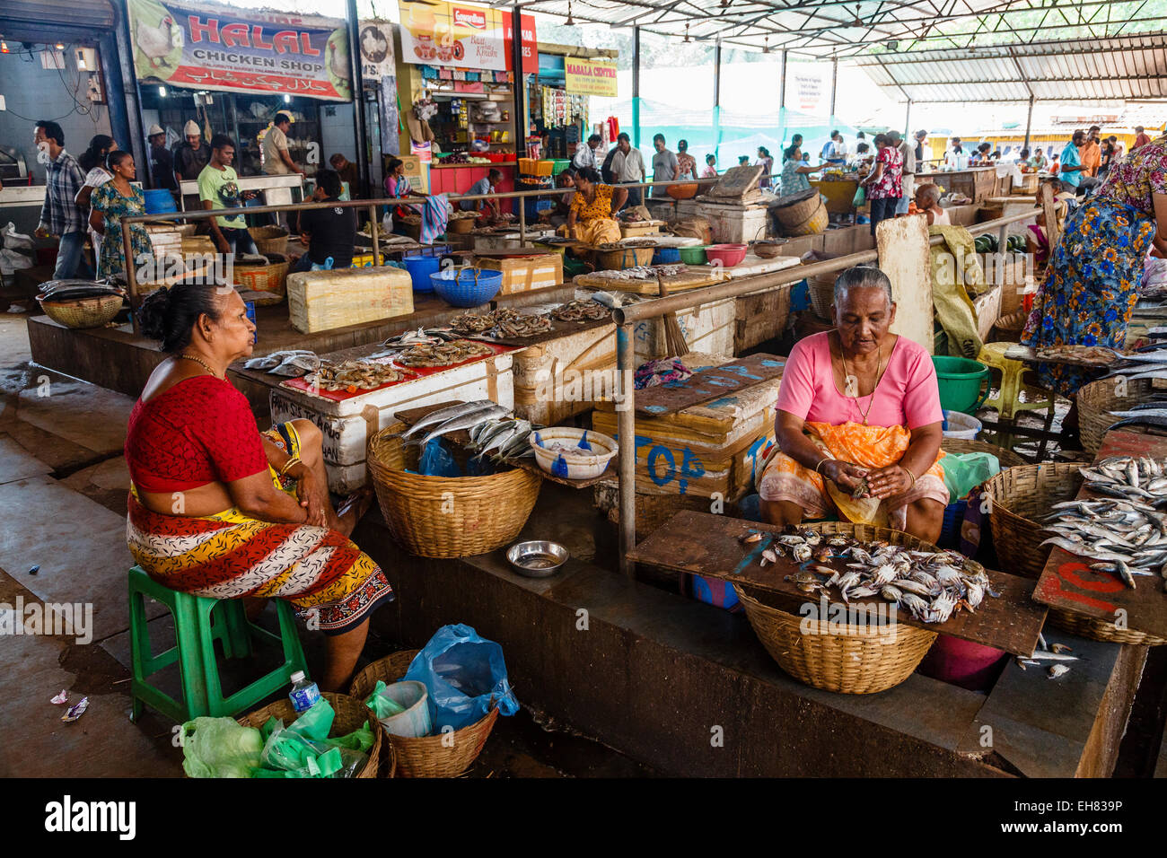 Marché aux poissons, Calangute, Goa, Inde, Asie Banque D'Images