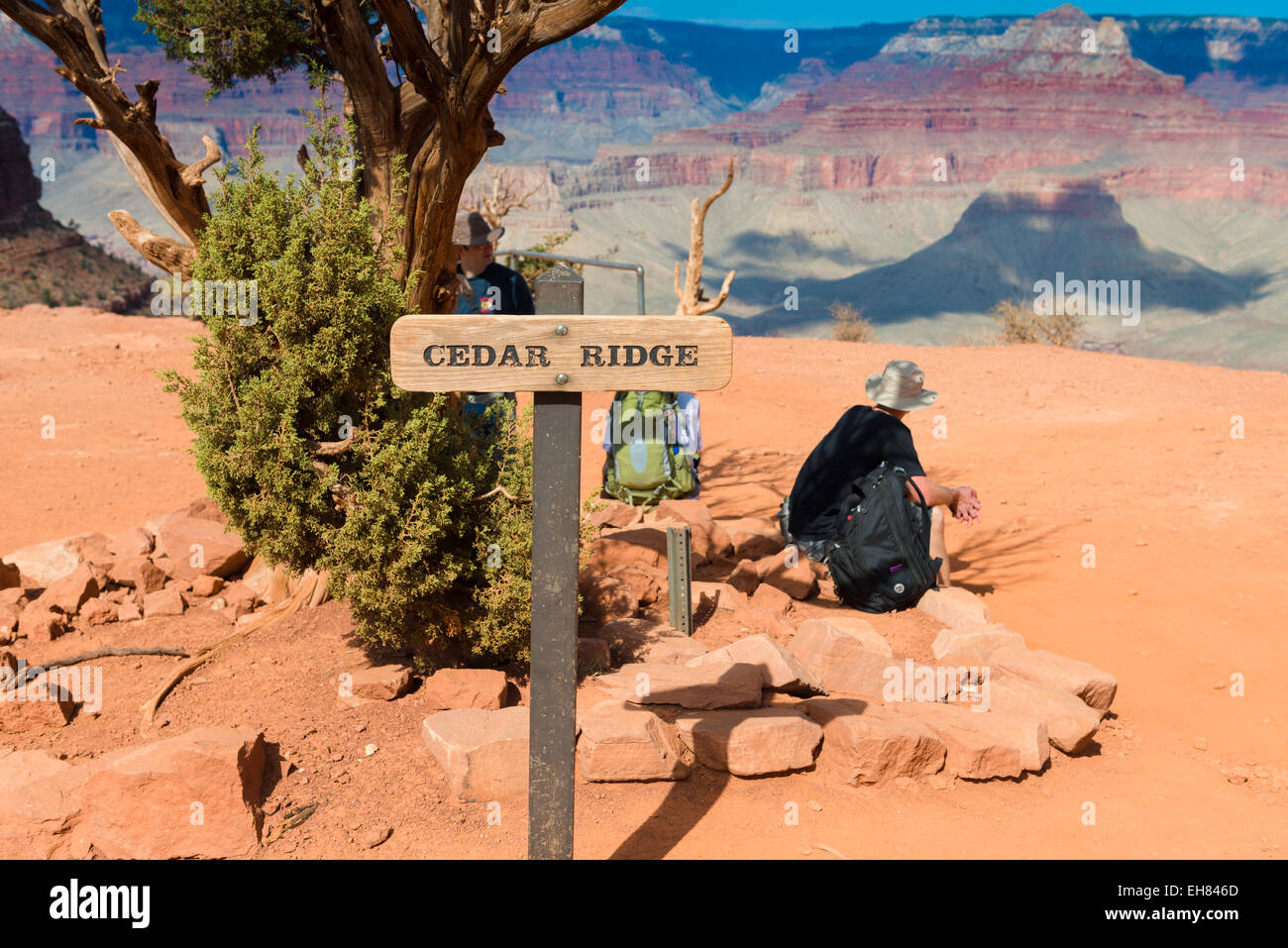 Sur Cedar Ridge South Kaibab Trail, le Parc National du Grand Canyon Banque D'Images