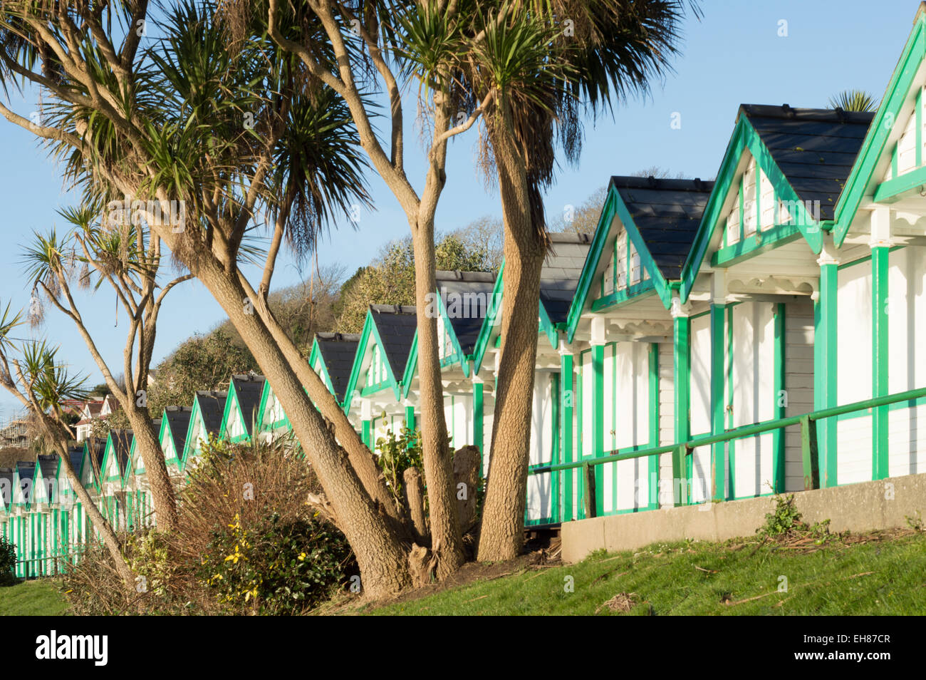 Des cabines de plage et de palmiers au Royaume-Uni Banque D'Images