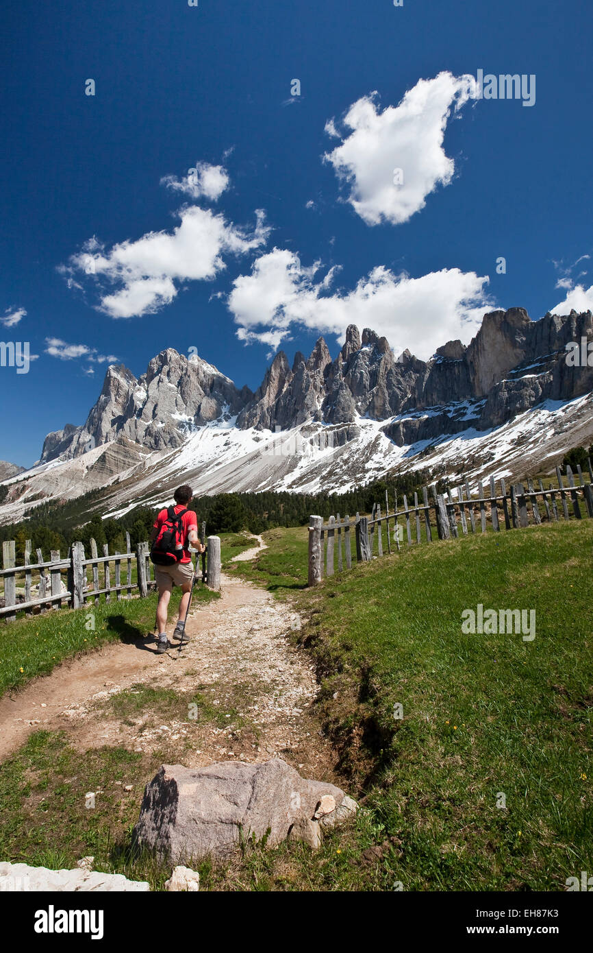 Un Randonneur admirant les sommets de la Dolomite massif dans le Parc Naturel Puez-Odle, Tyrol du Sud, Italie, Europe Banque D'Images