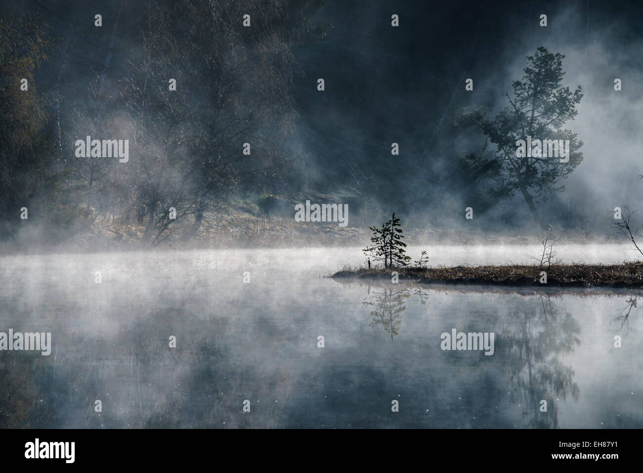 Mist rising des étangs de la Réserve Naturelle de Pian di Gembro, Lombardie, Italie Banque D'Images