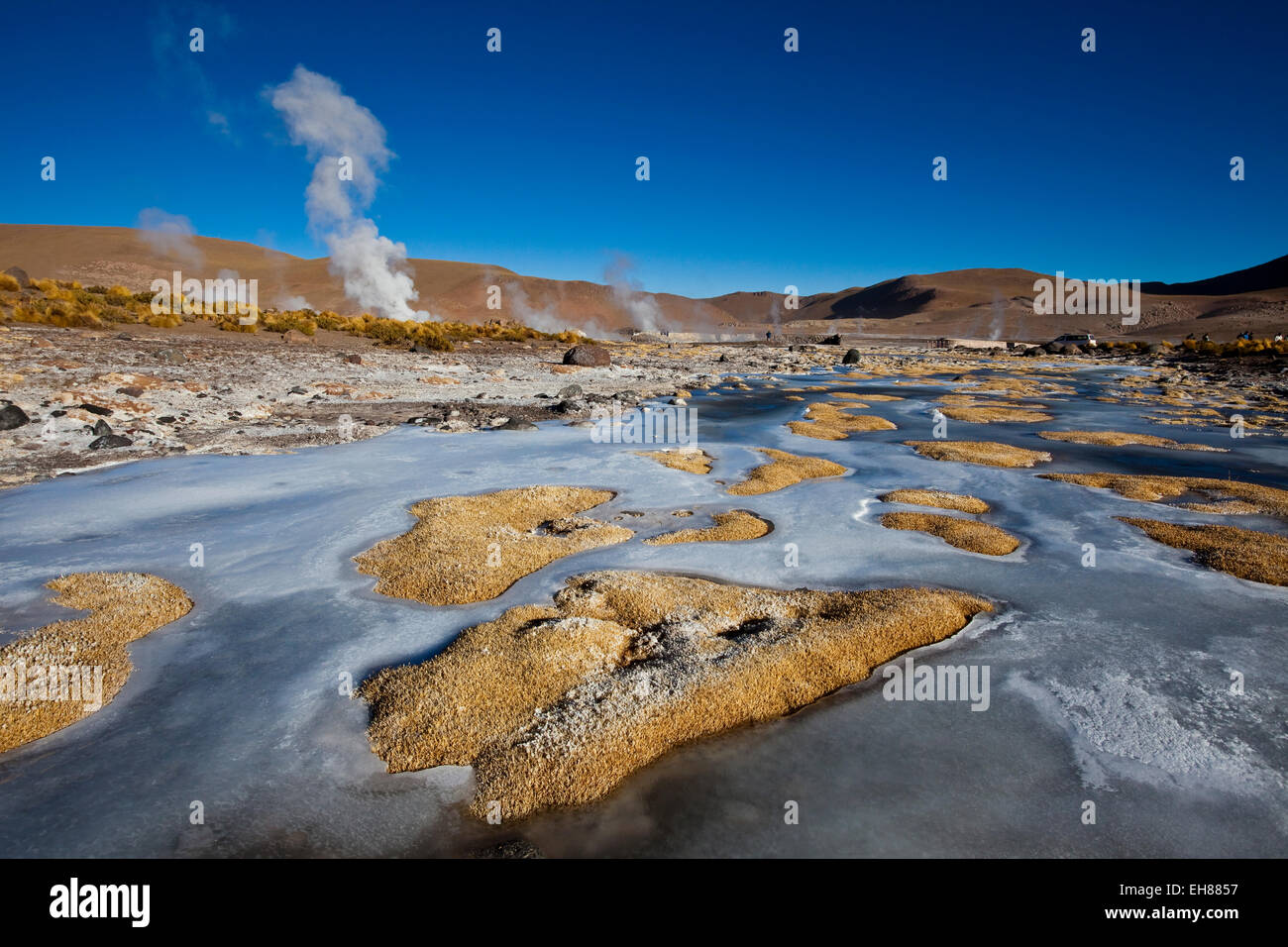 Le champ géothermique de l'El Tatio, situé dans l'Altiplano du nord du Chili, Amérique du Sud Banque D'Images