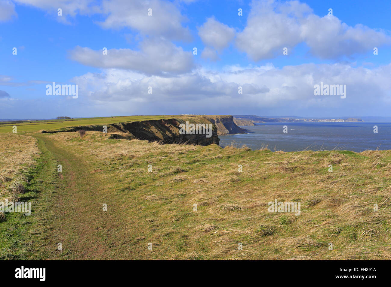 Cleveland Way, sentier national, Filey, North Yorkshire, Angleterre, Royaume-Uni. Banque D'Images