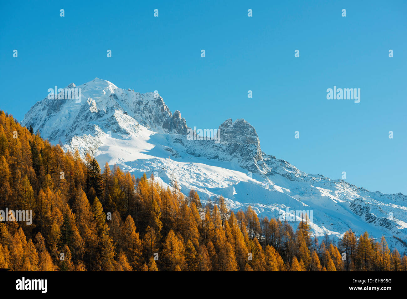 Couleurs d'automne ci-dessous Aiguille Verte, 4121m, à Chamonix, Rhone Alpes, Haute Savoie, Alpes, France, Europe Banque D'Images